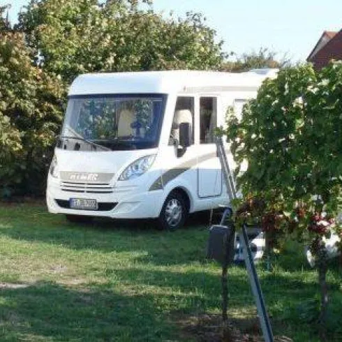 Zwei Wohnmobile stehen auf einer Wiese, umgeben von Weinreben. Im Hintergrund sieht man ein paar Häuser und Bäume.
