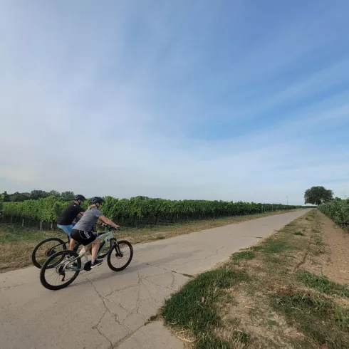 Radfahrer Radfahrer