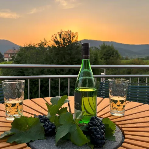 Blick vom Balkon übers Rebenmeer und den Pfälzer Wald.