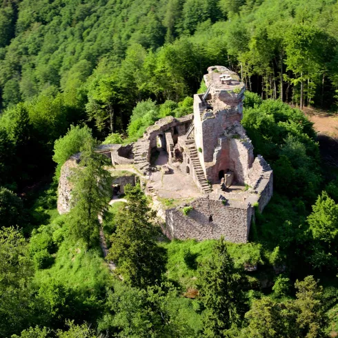 Hohenburg Luftaufnahme (© Kurt Groß)