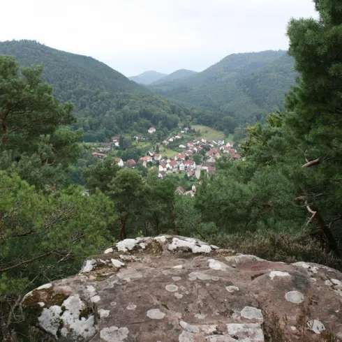 Blick vom Mäuerle auf Nothweiler (© Jacques Noll)