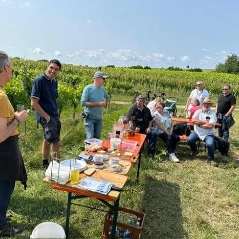 Eine Gruppe von Menschen sitzt und steht in einem Weinberg. Sie genießen Essen und Getränke an einem Tisch im Freien bei sonnigem Wetter.