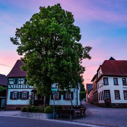 Eine ruhige Straße mit traditionellen Fachwerkhäusern und einem großen Baum. Der Himmel zeigt sanfte Farben bei Sonnenuntergang.