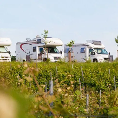 Wohnmobilstellplatz (© Weingut Geiger)