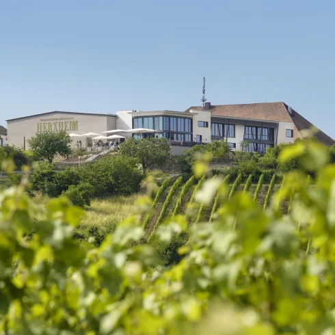 Die Winzergenossenschaft von Herxheim am Berg, von der Ferne. Im Vordergrund sieht man eine Landschaft aus Weinbergen.