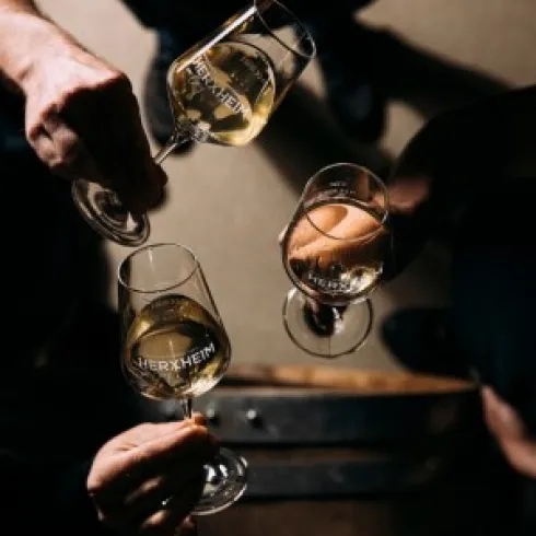 Weintour 1 (© Winzergenossenschaft Herxheim am Berg)