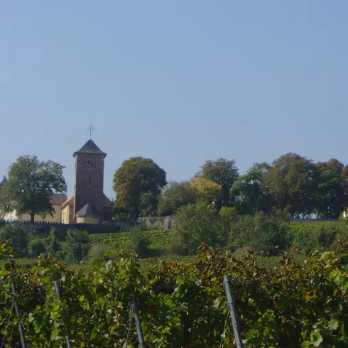 Scxhlossgarten (© Urlaubsregion Freinsheim)