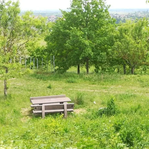 Ein großer Tisch mit Stühlen mitten in einer grünen Rasenfläsche, umgeben von Bäumen und Landschaft. 