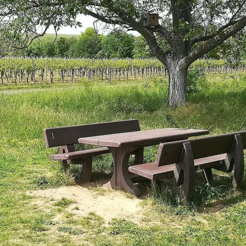Rastpaltz am Honigsackweg (© Urlaubsregion Freinsheim)
