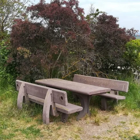 Eine Bank an einem Wander weg. Die Bank hat eiunen Tisch daneben. Das Gnaze steht dierekt neben dem Weg und vor einem Busch.