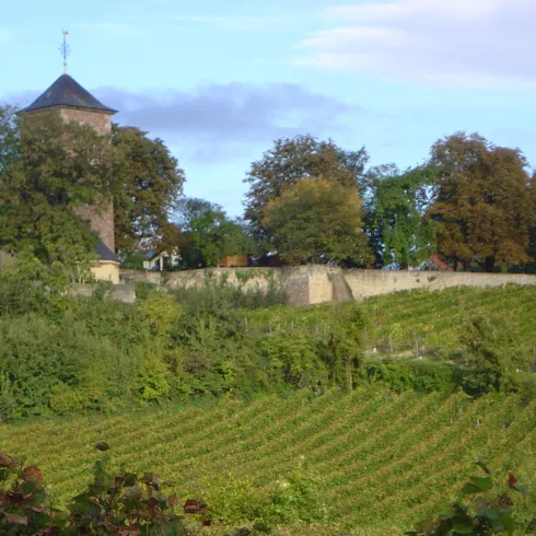Weinhnachtsmarkt (© Urlaubsregion Freinsheim)