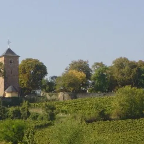 Schlossgarten (© Urlaubsregion Freinsheim)