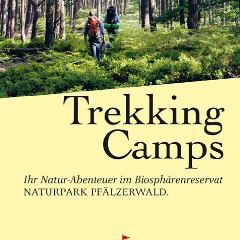 Ein Waldgebiet im Naturpark Pfälzerwald mit Wanderern. Unter dem Titel "Trekking Camps" lädt es zu Naturabenteuern ein.