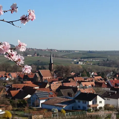 Protestantische Kirche zu Mandelblüte