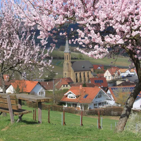 Die Katholische Kirche und blühende Mandelblüte.