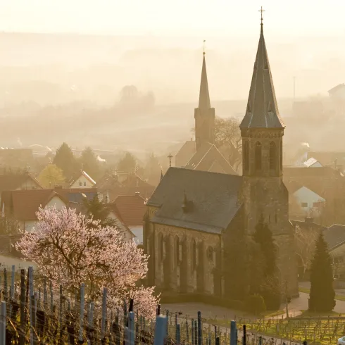 Birkweiler im Frühling