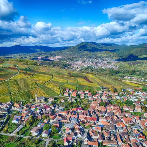 Eine malerische Landschaft mit Weinbergen und einem kleinen Dorf. Der Himmel ist teilweise bewölkt und die Berge im Hintergrund sind gut sichtbar.