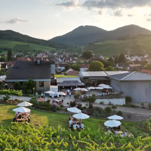 Eine malerische Weinlandschaft mit sanften Hügeln und einer kleinen Ortschaft. Im Vordergrund sind Weinreben und eine Terrasse mit Gästen zu sehen.