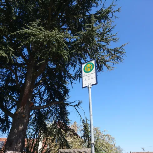 Bushaltestelle Siebeldingen-Birkweiler Bahnhof
