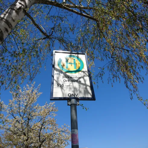 Ein Verkehrsschild am Straßenrand. Im Hintergrund blühen Bäume und der Himmel ist klar und blau.