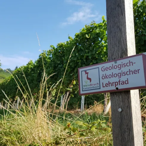 WeinBruch Kastanienbusch