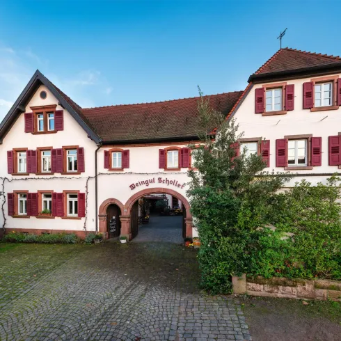 Weingut Scholler