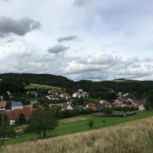 Sicht auf Ohmbach 1 (© FVZV Pfälzer Bergland, Ludmilla Schwarz)