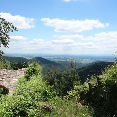 Eine Aussicht auf grüne Hügel unter einem blauen Himmel mit weißen Wolken. Links im Bild sind Ruinen zu sehen, die von Pflanzen umgeben sind.