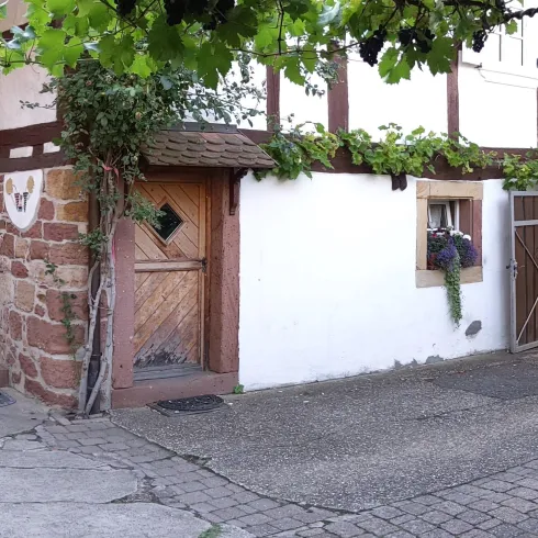 Ein malerischer Innenhof mit einem gepflasterten Boden und bunten Pflanzen. Im Hintergrund sind ein traditionelles Gebäude und ein Tisch mit Stühlen sichtbar.