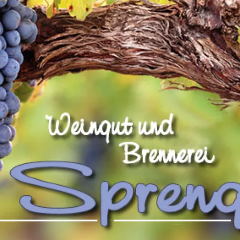 Eine Traube mit reifen blauen Weinen hängt an einem Weinstock. Im Hintergrund steht der Schriftzug "Weingut und Brennerei Sprenger".
