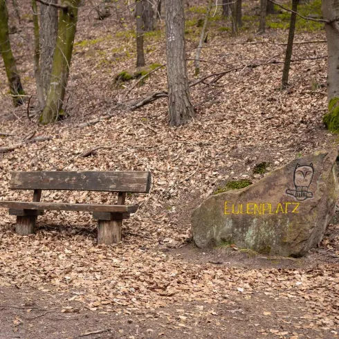 Eine Holzbank steht im Wald auf einem mit Laub bedeckten Boden. Neben der Bank befindet sich ein großer Stein mit der Aufschrift "Ruheplatz".