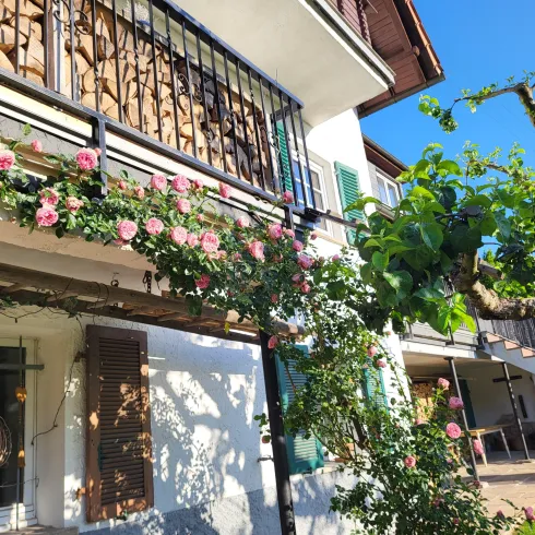 Ein charmantes Haus mit einem Balkon, der mit rosa Rosen geschmückt ist. Im Vordergrund sind grüne Pflanzen und ein klarer blauer Himmel zu sehen.