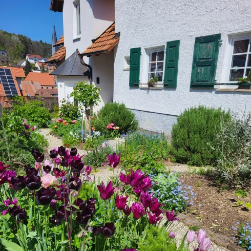 Vorgarten im Frühling