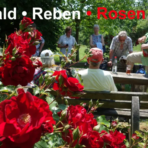 Gaestewanderwoche_Doerrenbach_Fotos-Hermes_Rosen-R