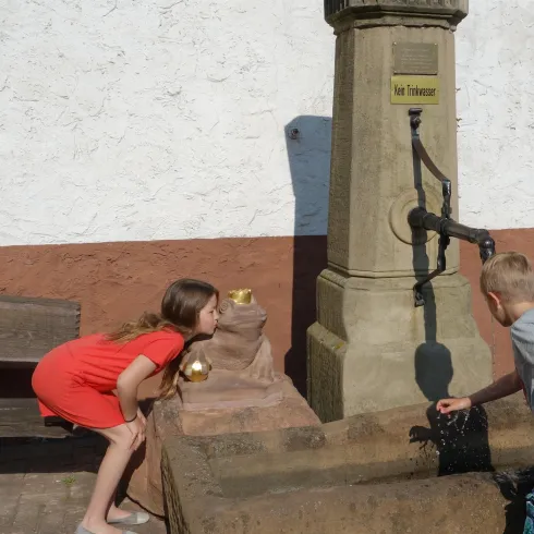 Napoleonbrunnen (© Hermes P. Herrmann)