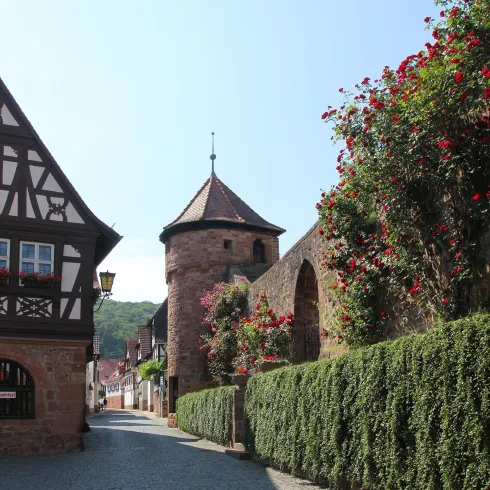 Dörrenbach Rathaus (© Tourismusverein Bad Bergzaberner Land e.V.)