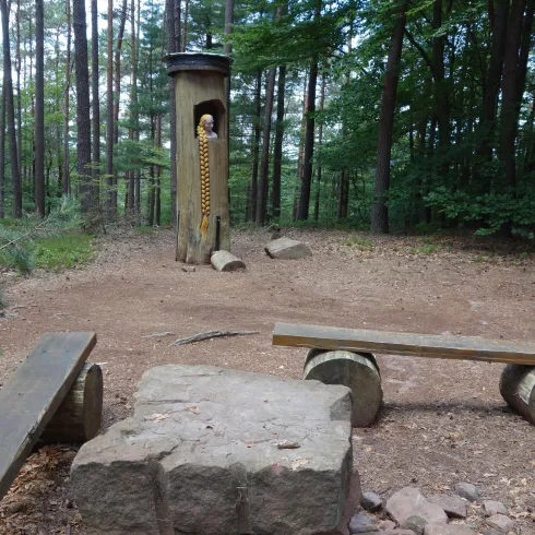 Ein ruhiger Ort im Wald mit Holzbänken und einem Aussichtsturm. Die Umgebung ist grün und einladend, ideal für eine Pause in der Natur.
