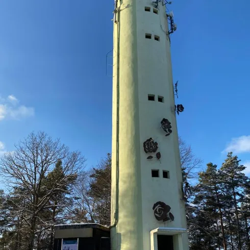 Ein hoher, gelber Aussichtsturm steht in einer verschneiten Umgebung. Umgeben von Bäumen bietet er einen klaren Blick auf den Himmel.