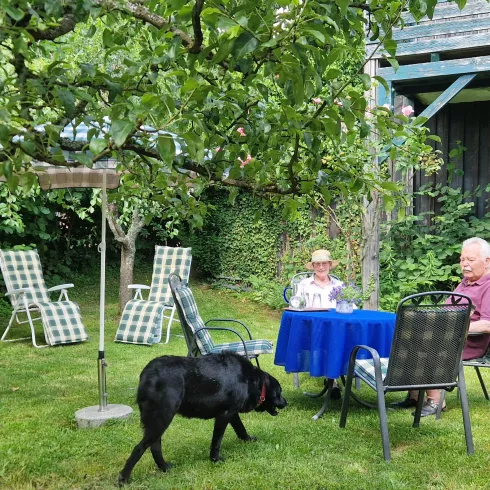 Garten (2)