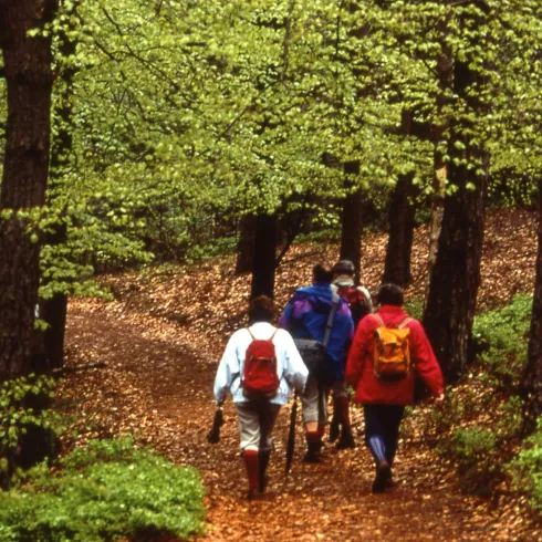 Wandern Wandern