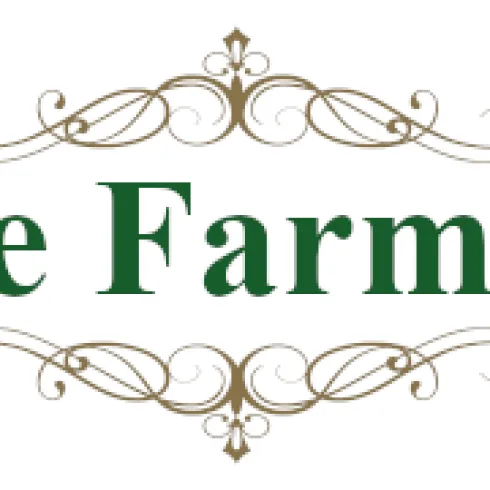 Bild_2024-01-27_174022