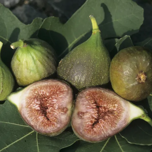 Bild: © knipseline/ pixelio.de