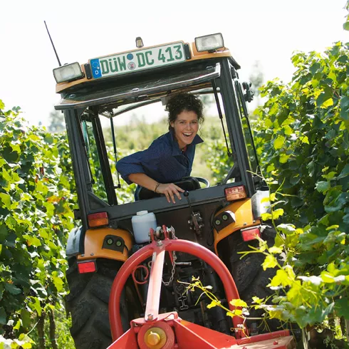 Pfälzer Winzerin auf dem Traktor