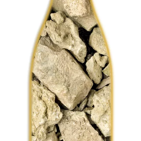 Die Riffe des Rheingrabens sorgen für üppigen Geschmack: Kalkstein
