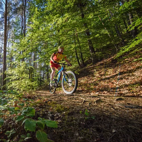 Mountainbiketouren im Mountainbikepark Pfälzerwald (© Mountainbikepark Pfälzerwald e.V.) Mountainbiketouren im Mountainbikepark Pfälzerwald