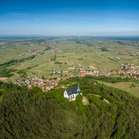 Die St.-Anna-Kapelle in Burrweiler, Foto: Dominik Ketz