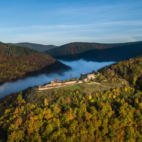 Die Wolfsburgruine Neustadt