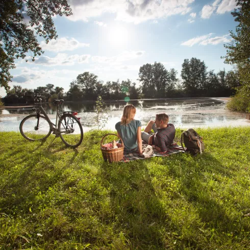 Flussradwege in der Pfalz, Rheinauen in der Südpfalz