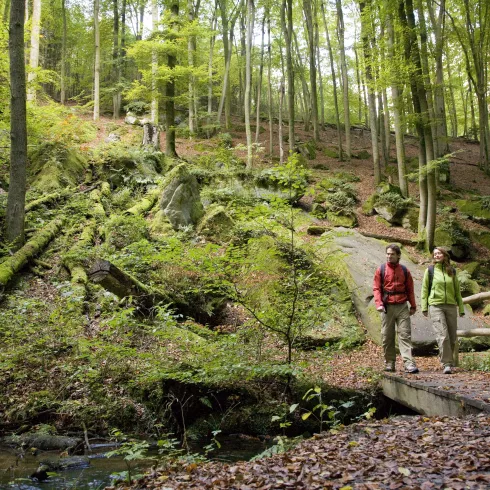 Wanderung durch die Karlstalschlucht