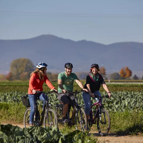 Radfahren auf dem Kraut und Rüben Radweg